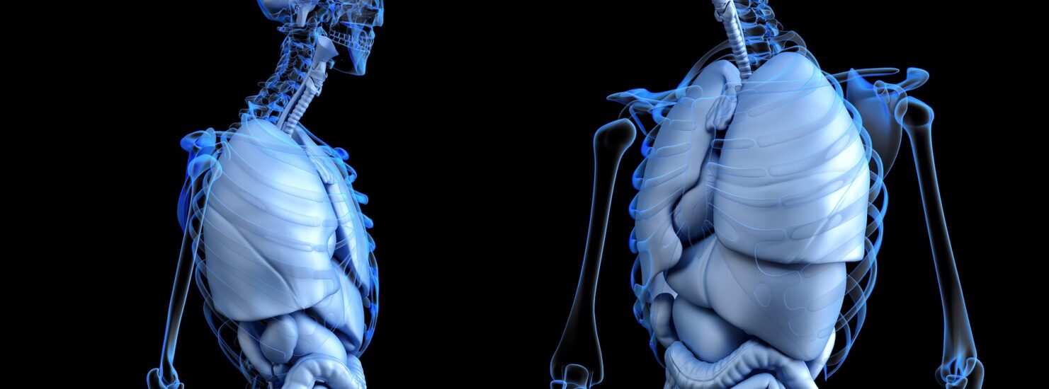 SPICES THAT BOOST YOUR DIGESTIVE SYSTEM